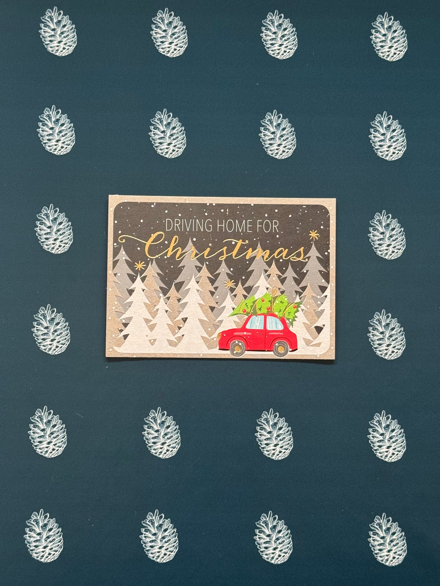 Postkarte «Driving Home» A6 / C6