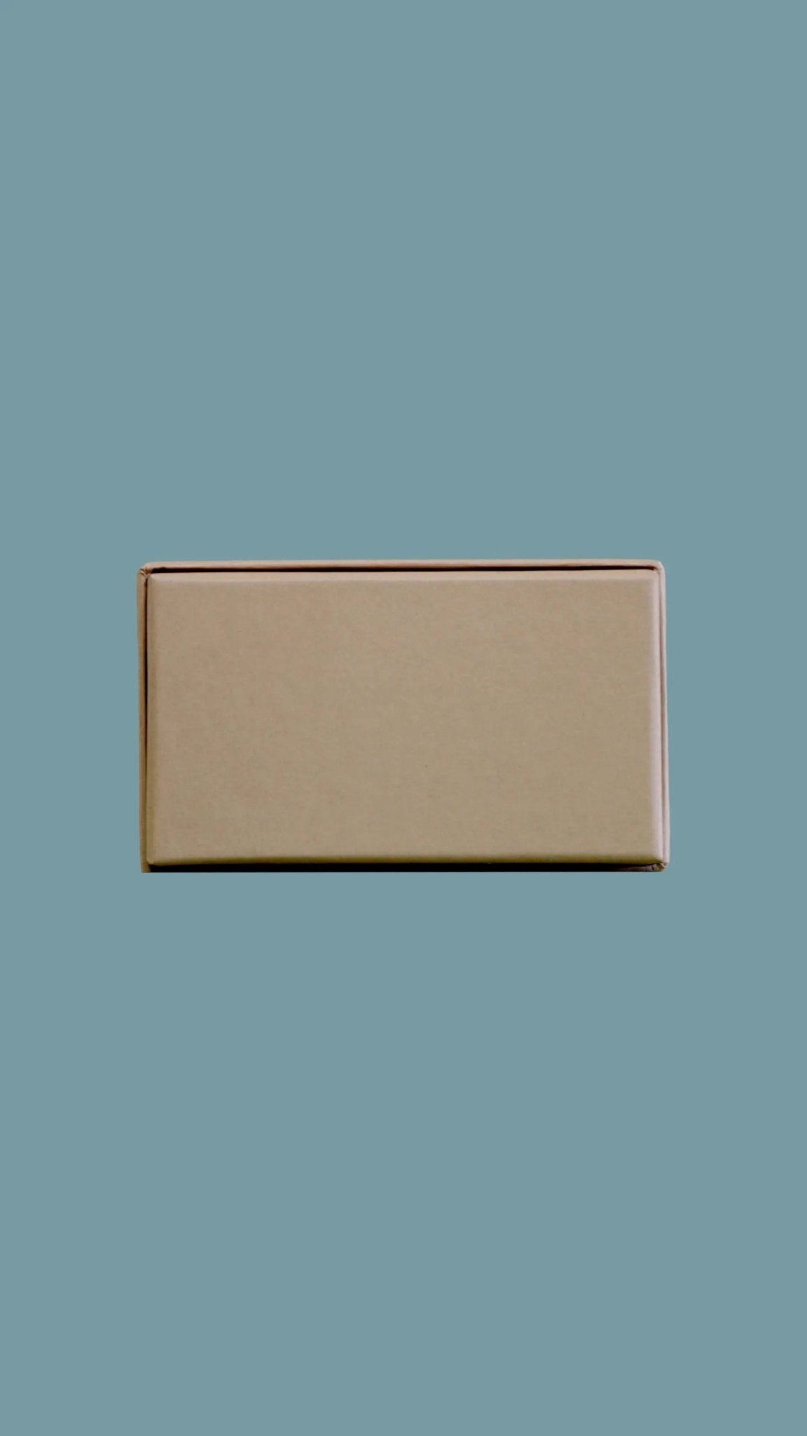 Geschenkbox "Ein paar Mäuse für dich" - Weihnachtsfabrik